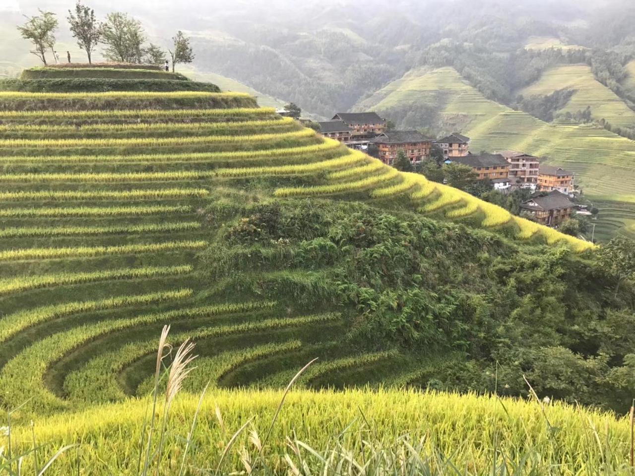 Rice View Villa Longsheng Exterior photo